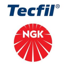 Logo NGK e Tecfil