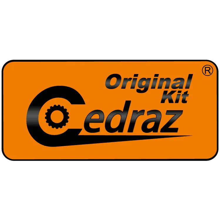 Logo Cedraz