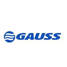 Logo Gauss