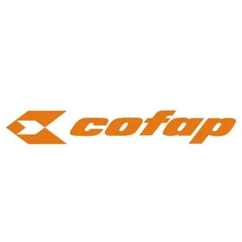 Logo Mahle Cofap