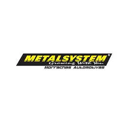 Logo MetalSystem