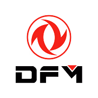 Logo Dfm